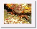 06-Bequia - 42